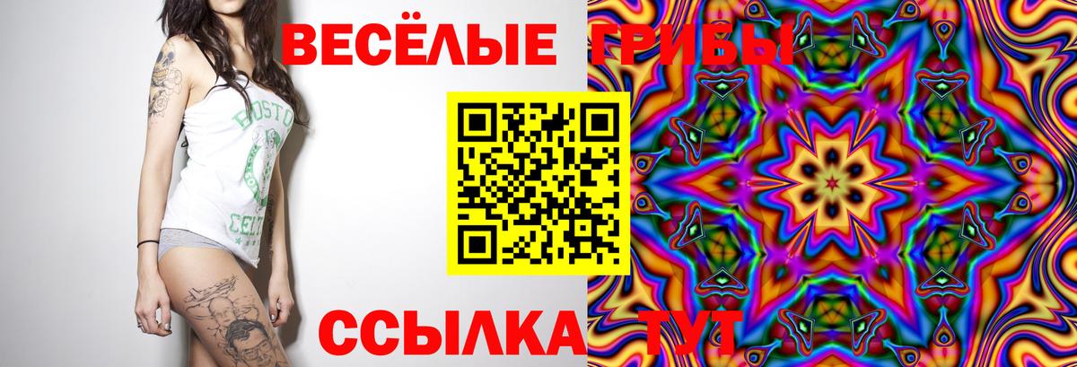 Елабуга  Галлюциногенные грибы мухоморы  Псилоцибиновые грибы мицелий  Вход с VPN 